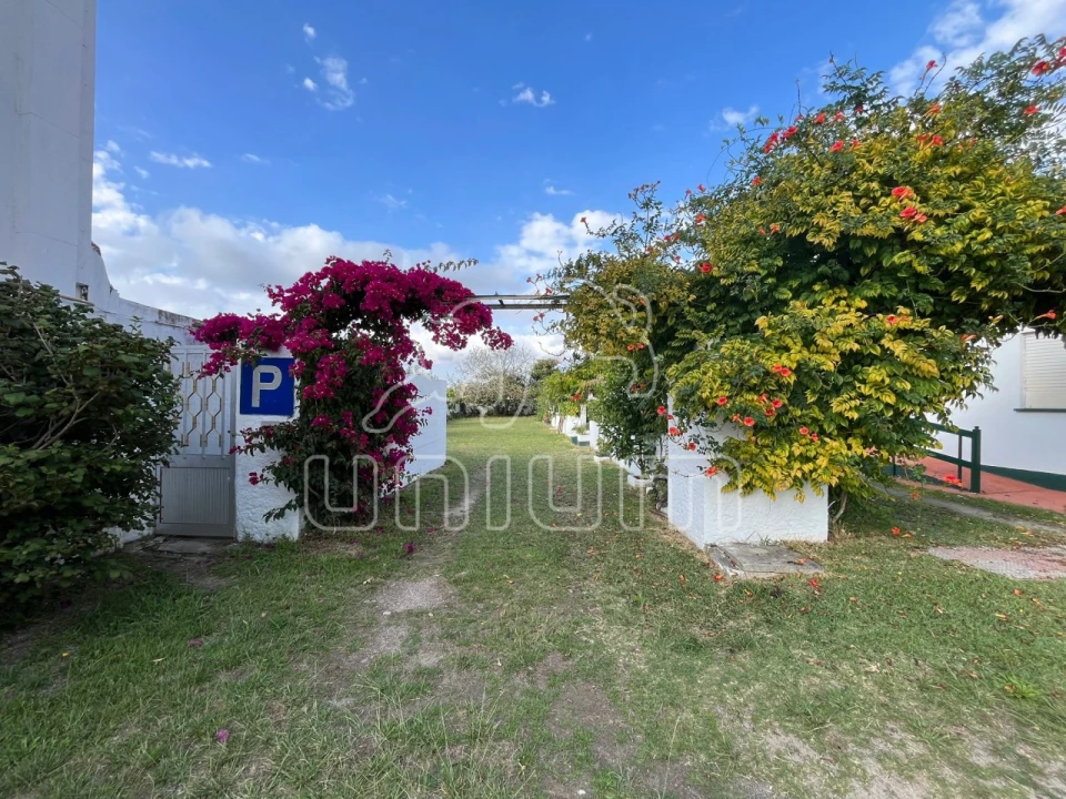 Negócio para Venda em Seixas Foto 8