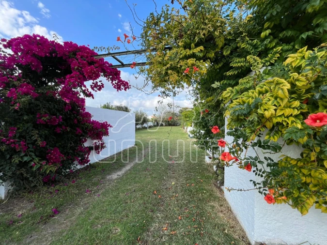 Negócio para Venda em Seixas Foto 7