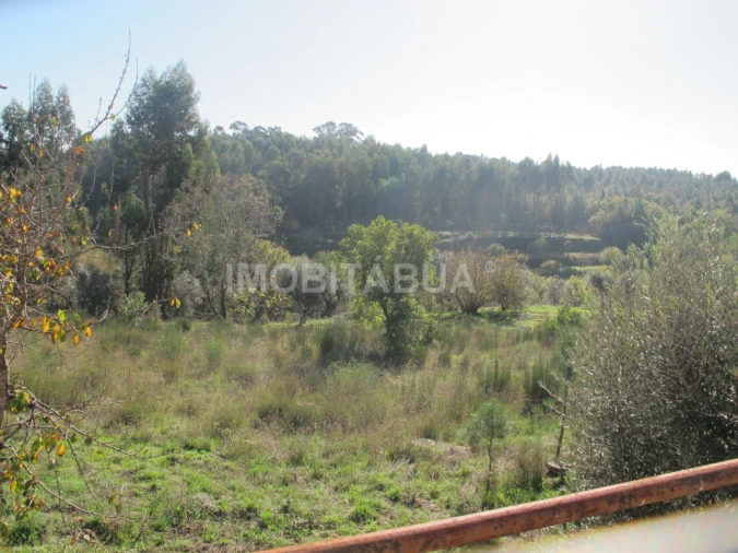 Moradia T4 para Venda em Povoa de Midões Foto 18