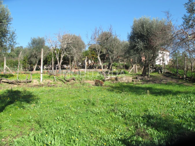 Moradia T4 para Venda em Povoa de Midões Foto 19