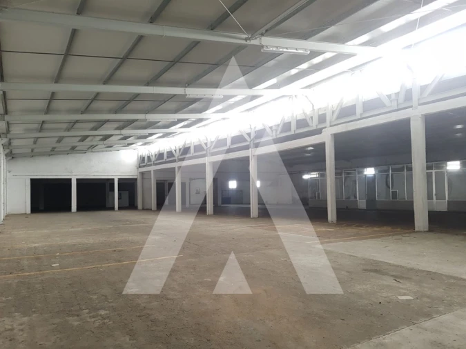 Negócio para Arrendamento em Sangalhos Foto 20