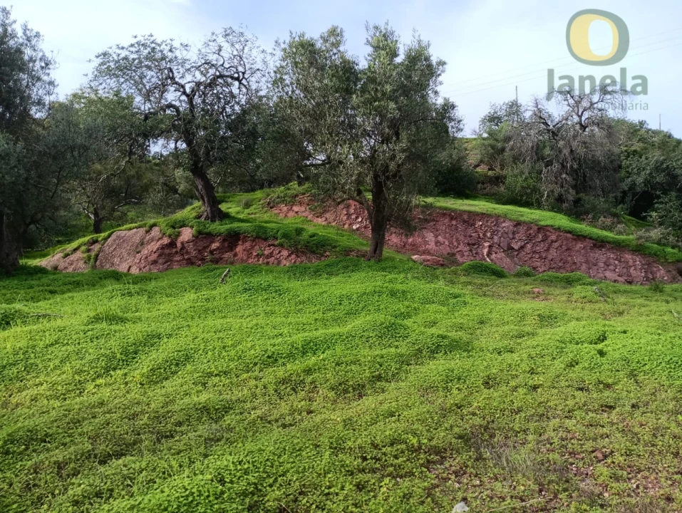 Terreno para Venda em Santa Catarina da Fonte do Bispo Foto 2