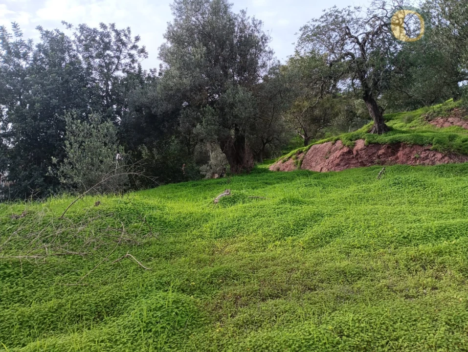 Terreno para Venda em Santa Catarina da Fonte do Bispo Foto 1