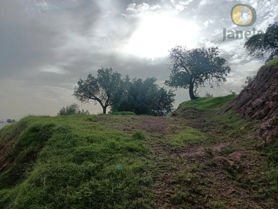 Terreno para Venda em Santa Catarina da Fonte do Bispo Foto 3