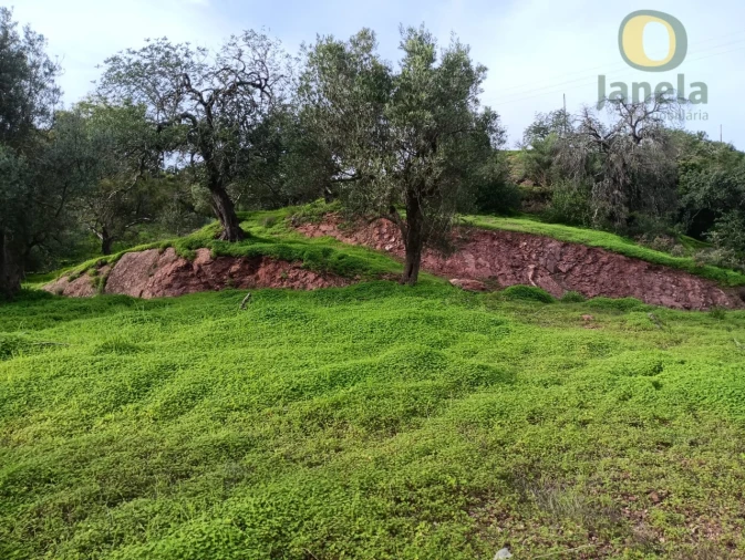 Terreno para Venda em Santa Catarina da Fonte do Bispo Foto 2