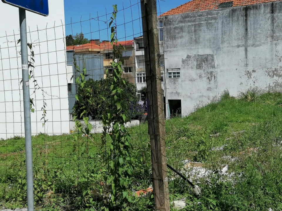 Apartamento para Venda em São Felix da Marinha Foto 6