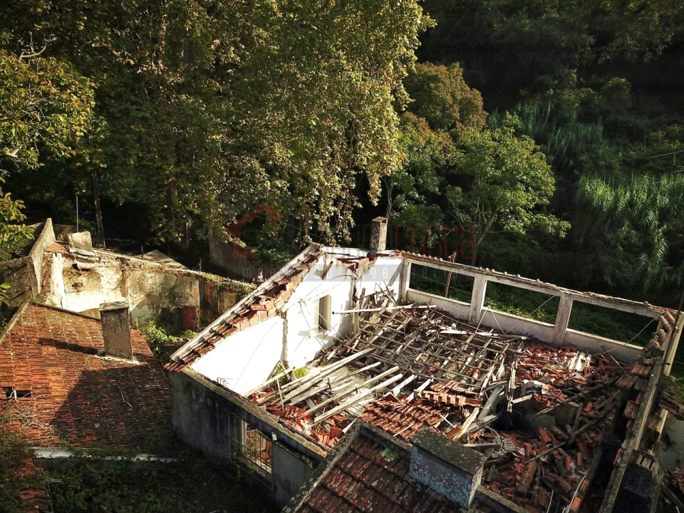 Negócio para Venda em Santa Maria e São Miguel, São Martinho, São Pedro Penaferrim Foto 9