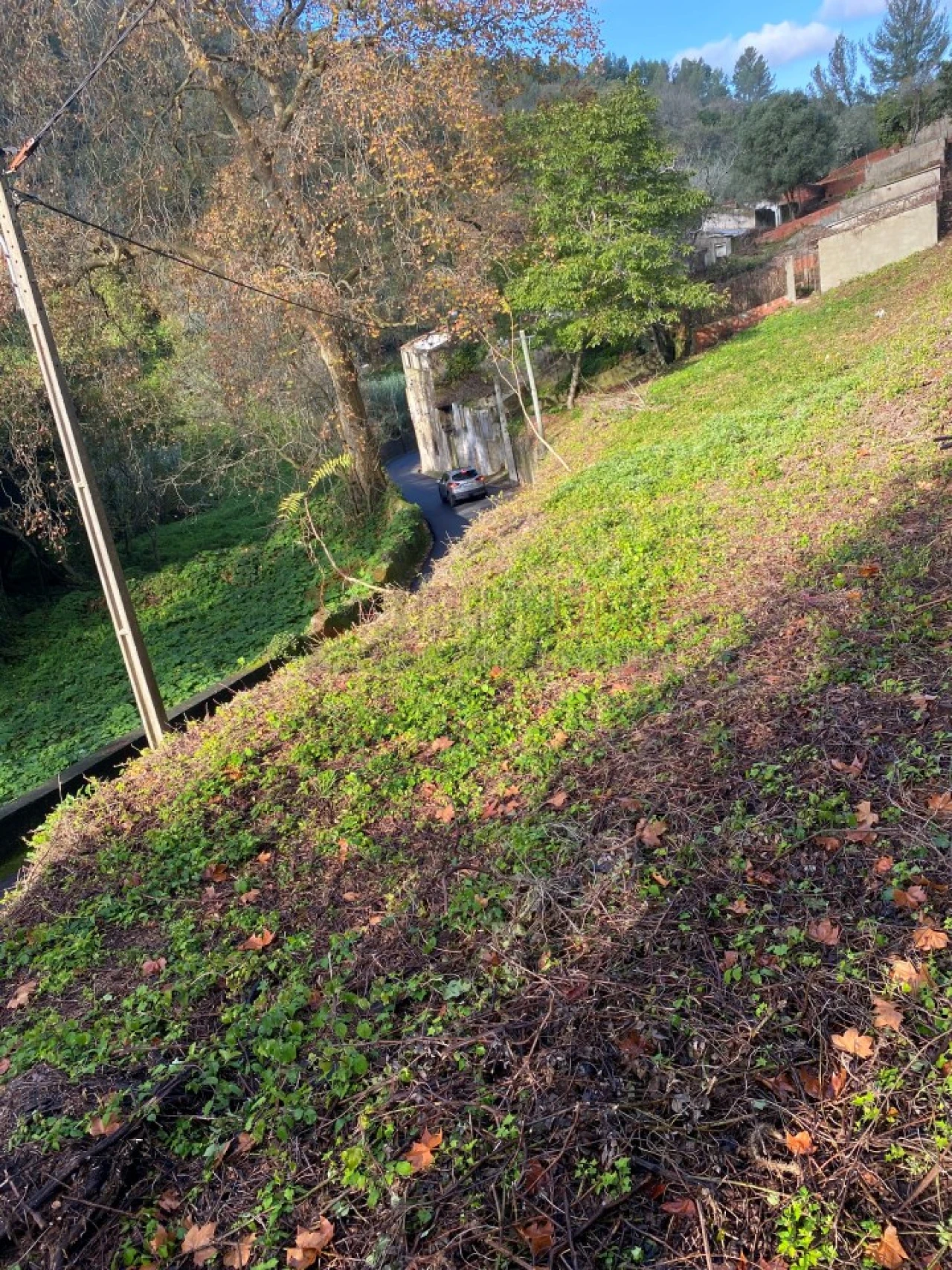 Negócio para Venda em Santa Maria e São Miguel, São Martinho, São Pedro Penaferrim Foto 12