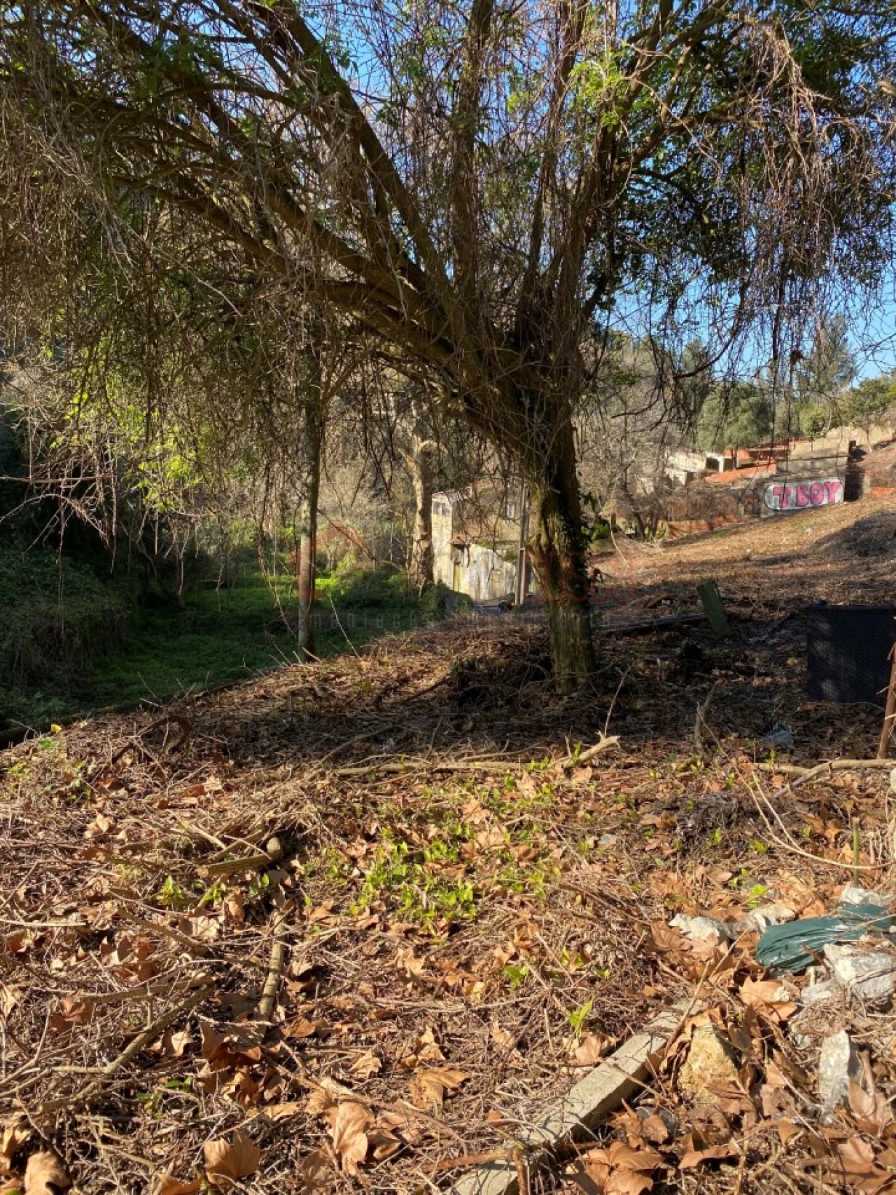 Negócio para Venda em Santa Maria e São Miguel, São Martinho, São Pedro Penaferrim Foto 14