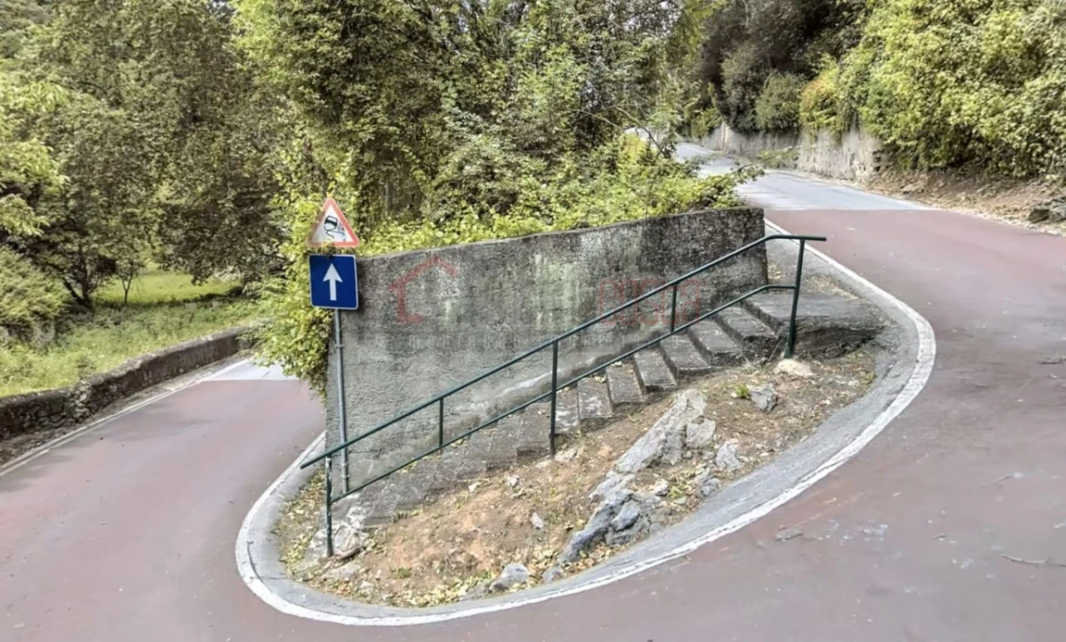 Negócio para Venda em Santa Maria e São Miguel, São Martinho, São Pedro Penaferrim Foto 5