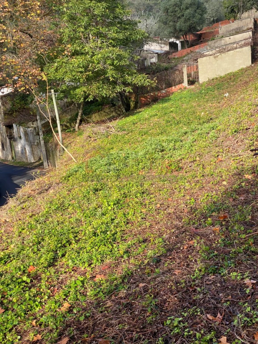 Negócio para Venda em Santa Maria e São Miguel, São Martinho, São Pedro Penaferrim Foto 13