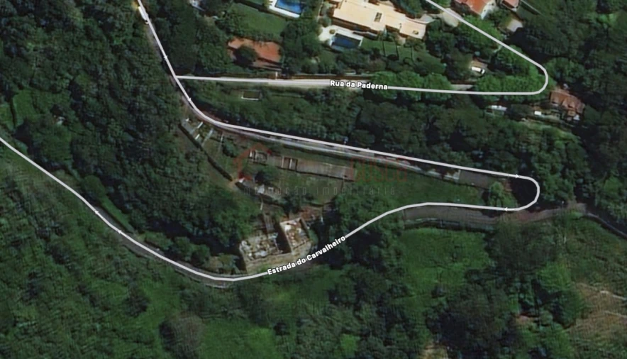 Negócio para Venda em Santa Maria e São Miguel, São Martinho, São Pedro Penaferrim Foto 16