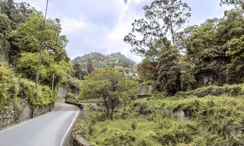 Negócio para Venda em Santa Maria e São Miguel, São Martinho, São Pedro Penaferrim Foto 22