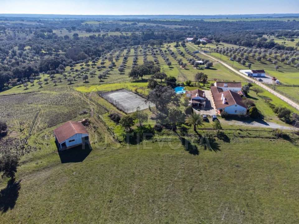 Negócio para Venda em Cortiçadas de Lavre e Lavre Foto 51