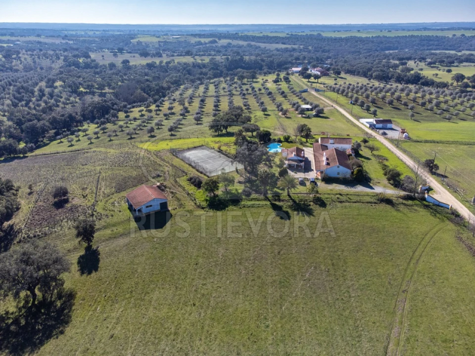 Negócio para Venda em Cortiçadas de Lavre e Lavre Foto 3