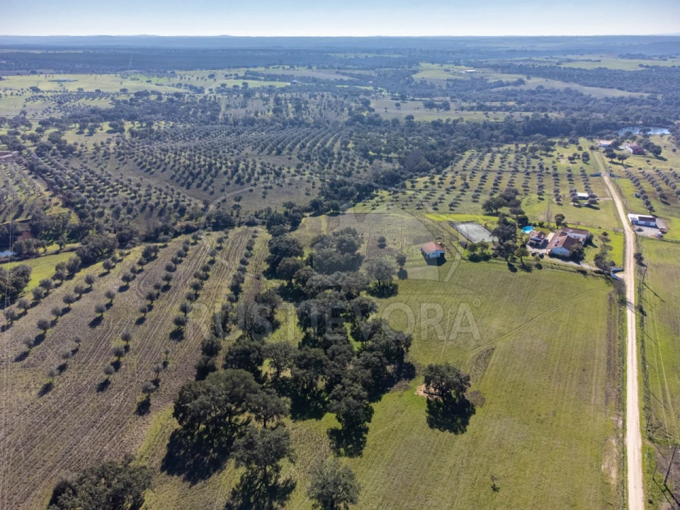 Negócio para Venda em Cortiçadas de Lavre e Lavre Foto 5