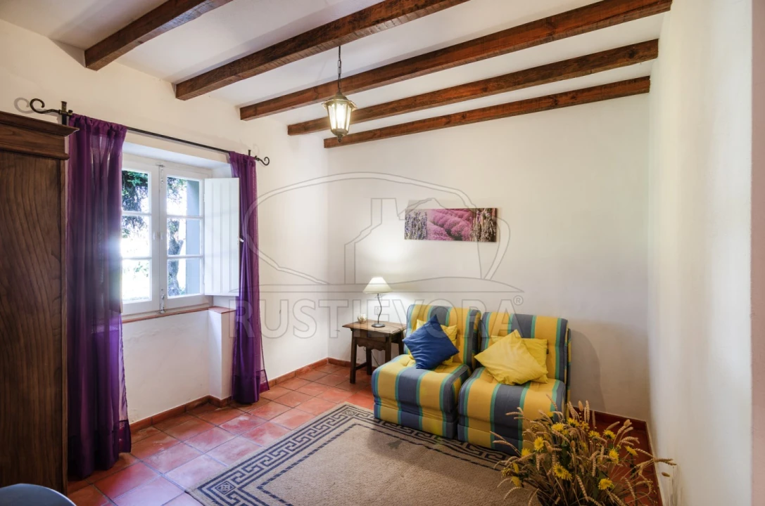 Negócio para Venda em Cortiçadas de Lavre e Lavre Foto 15