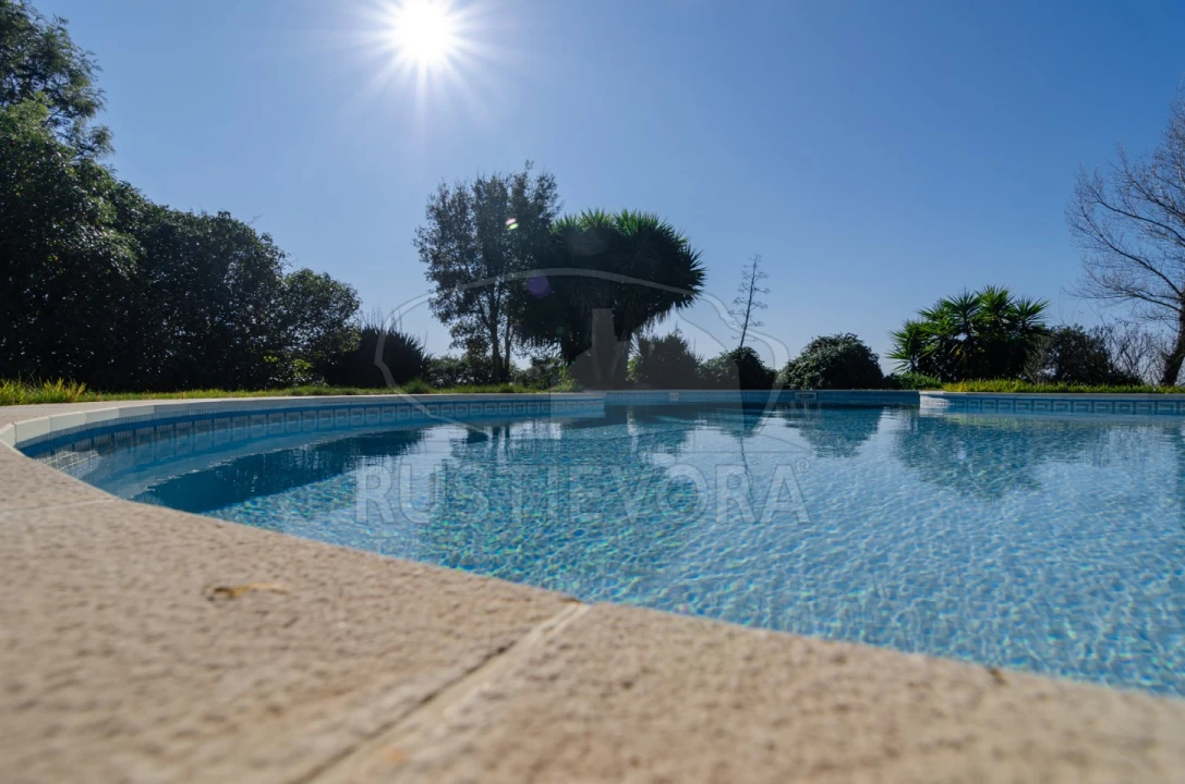Negócio para Venda em Cortiçadas de Lavre e Lavre Foto 53