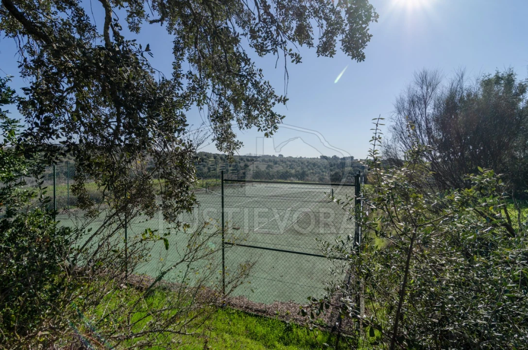 Negócio para Venda em Cortiçadas de Lavre e Lavre Foto 57