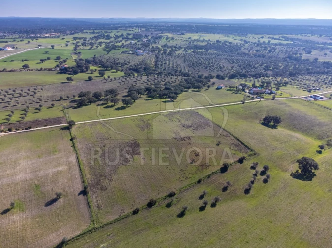 Negócio para Venda em Cortiçadas de Lavre e Lavre Foto 6