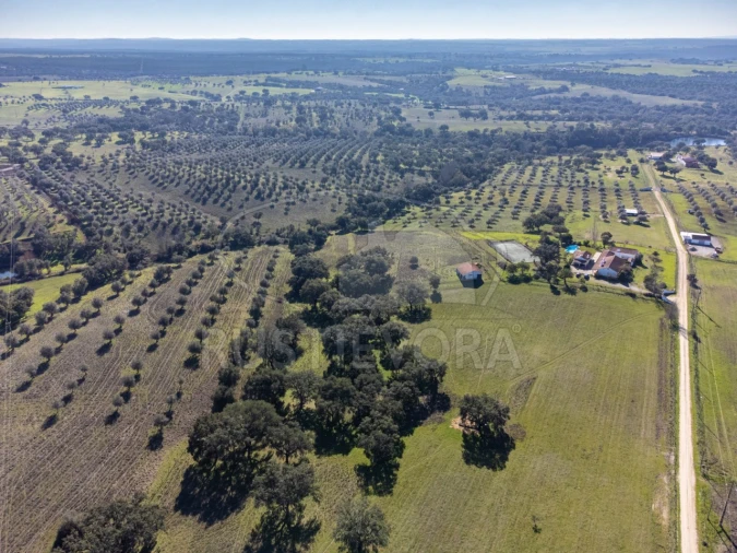Negócio para Venda em Cortiçadas de Lavre e Lavre Foto 5