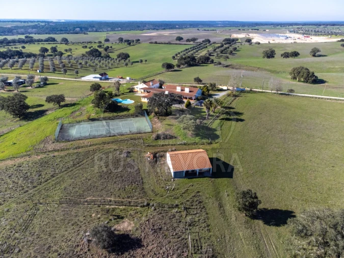 Negócio para Venda em Cortiçadas de Lavre e Lavre Foto 60