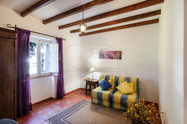 Negócio para Venda em Cortiçadas de Lavre e Lavre Foto 15