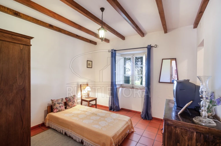 Negócio para Venda em Cortiçadas de Lavre e Lavre Foto 17