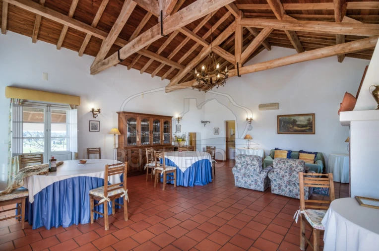 Negócio para Venda em Cortiçadas de Lavre e Lavre Foto 35