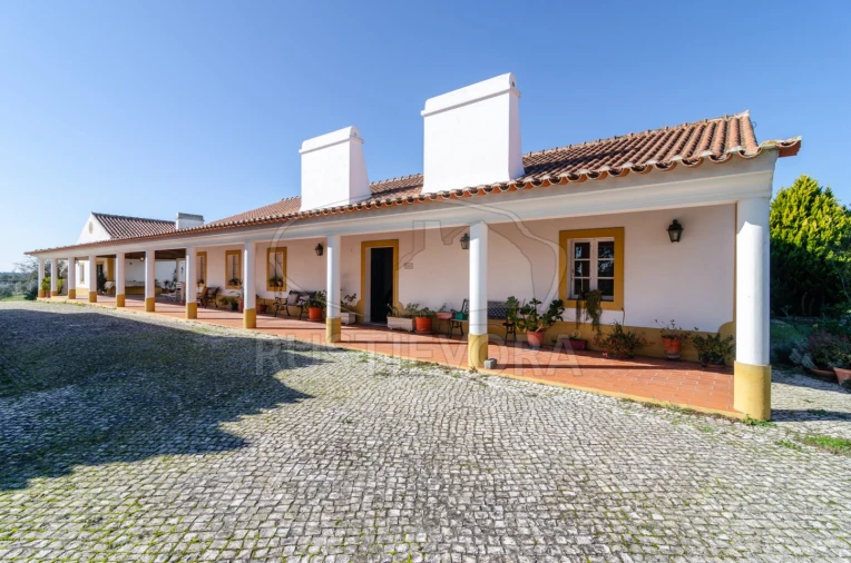 Negócio para Venda em Cortiçadas de Lavre e Lavre Foto 2