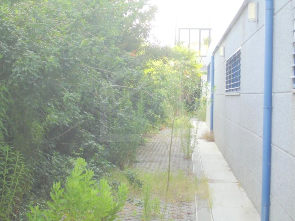 Prédio para Venda em Cortegaça Foto 15