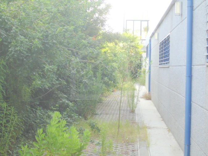 Prédio para Venda em Cortegaça Foto 15