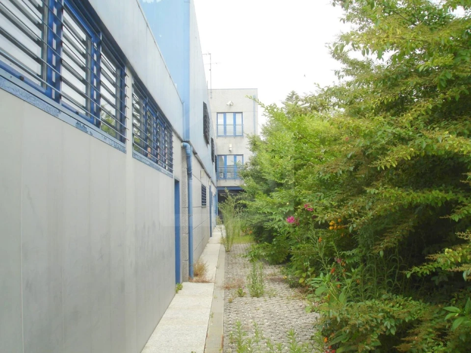 Prédio para Arrendamento em Cortegaça Foto 43