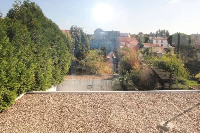 Prédio para Arrendamento em Cortegaça Foto 69