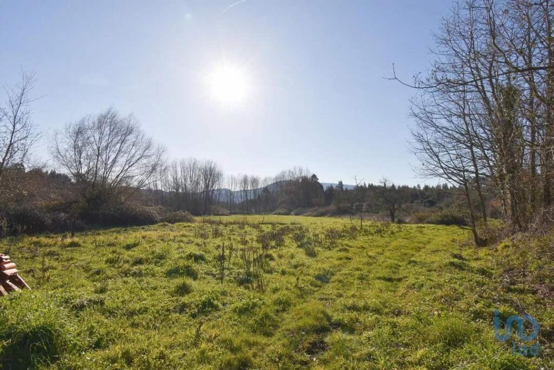 Terreno para Venda em Espinhal Foto 15
