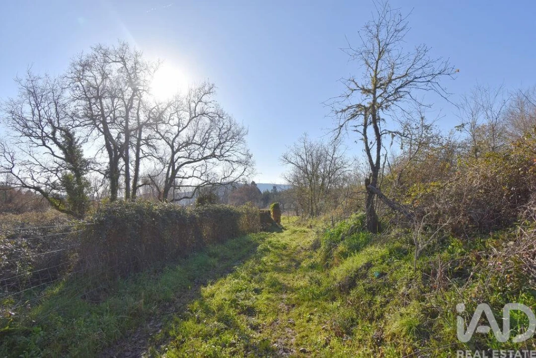 Terreno para Venda em Espinhal Foto 22