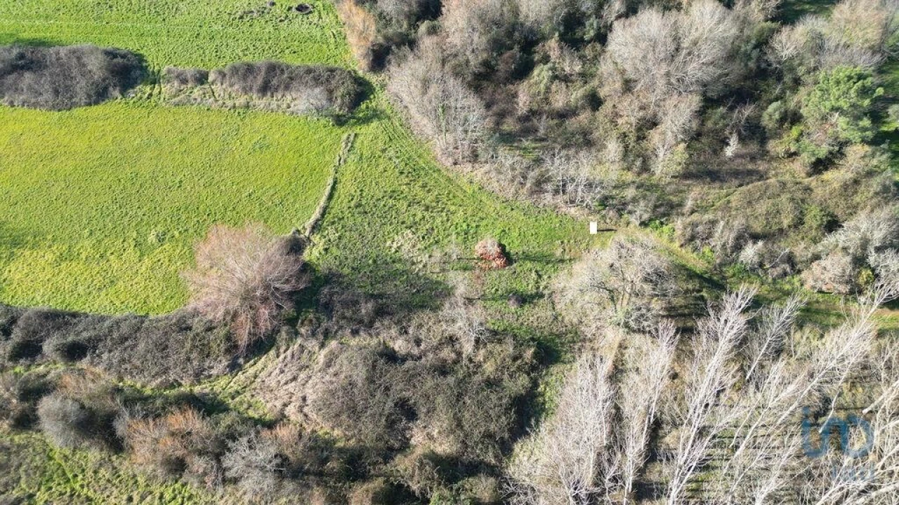 Terreno para Venda em Espinhal Foto 6