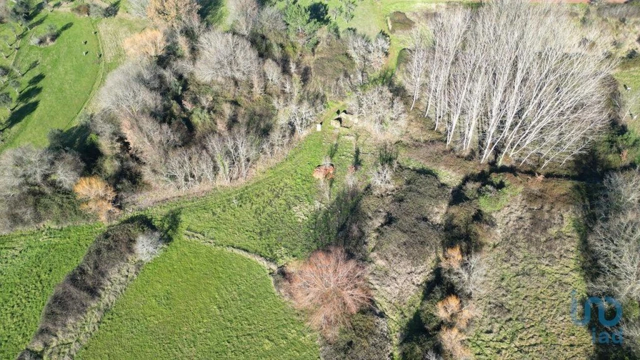 Terreno para Venda em Espinhal Foto 8