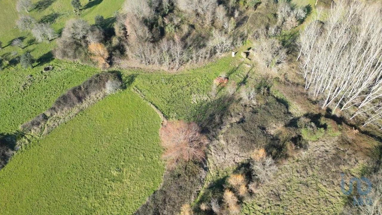 Terreno para Venda em Espinhal Foto 7