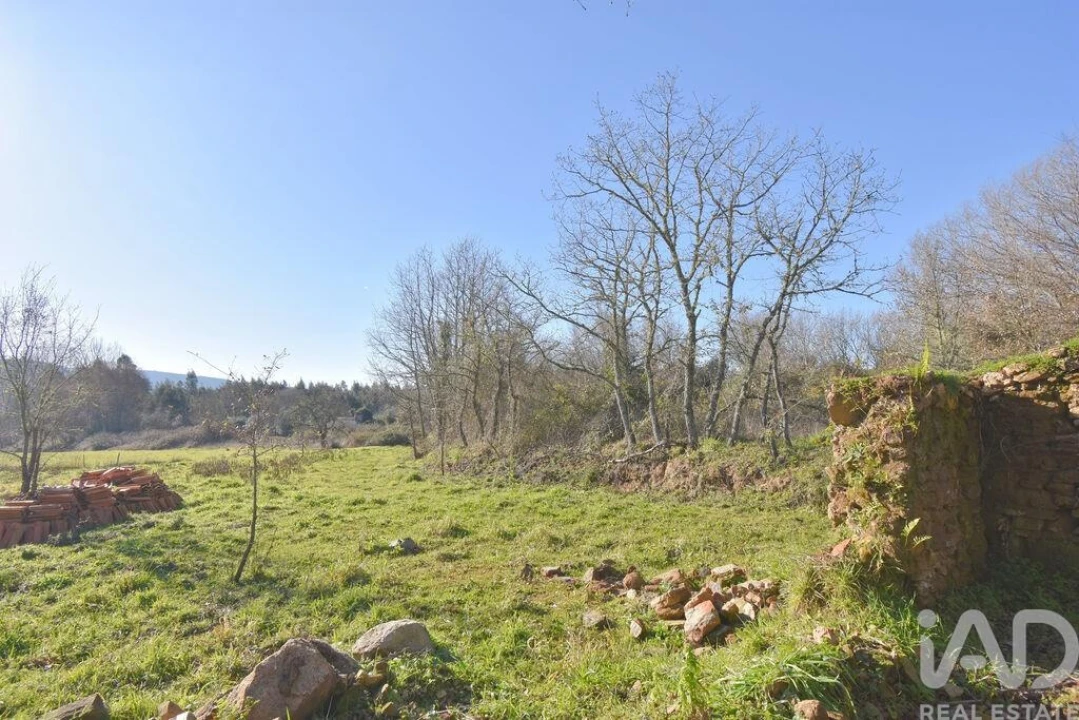 Terreno para Venda em Espinhal Foto 21