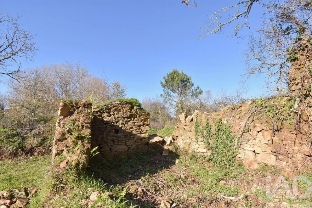 Terreno para Venda em Espinhal Foto 19