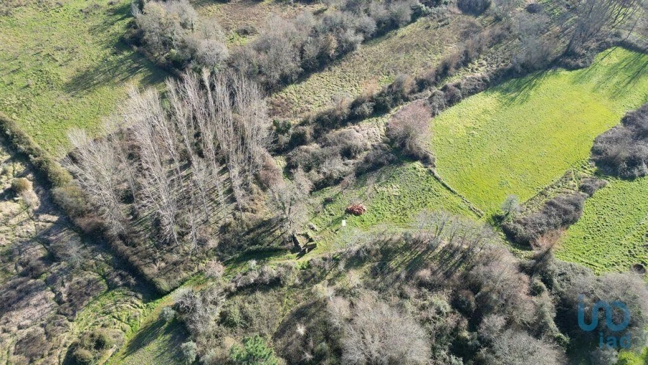 Terreno para Venda em Espinhal Foto 12