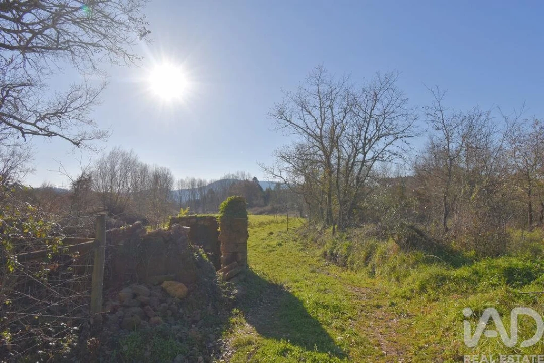 Terreno para Venda em Espinhal Foto 17