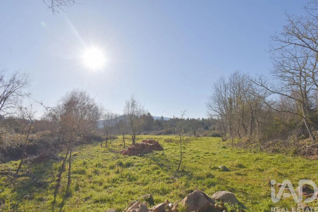Terreno para Venda em Espinhal Foto 23