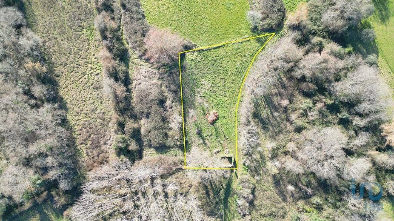 Terreno para Venda em Espinhal Foto 13