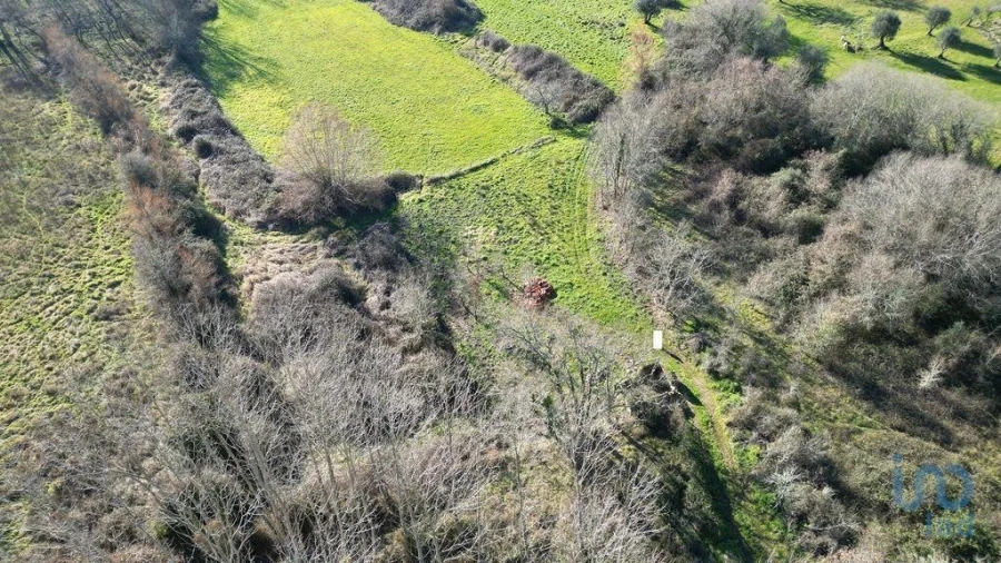 Terreno para Venda em Espinhal Foto 4