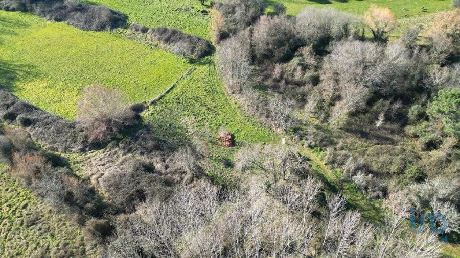 Terreno para Venda em Espinhal Foto 5