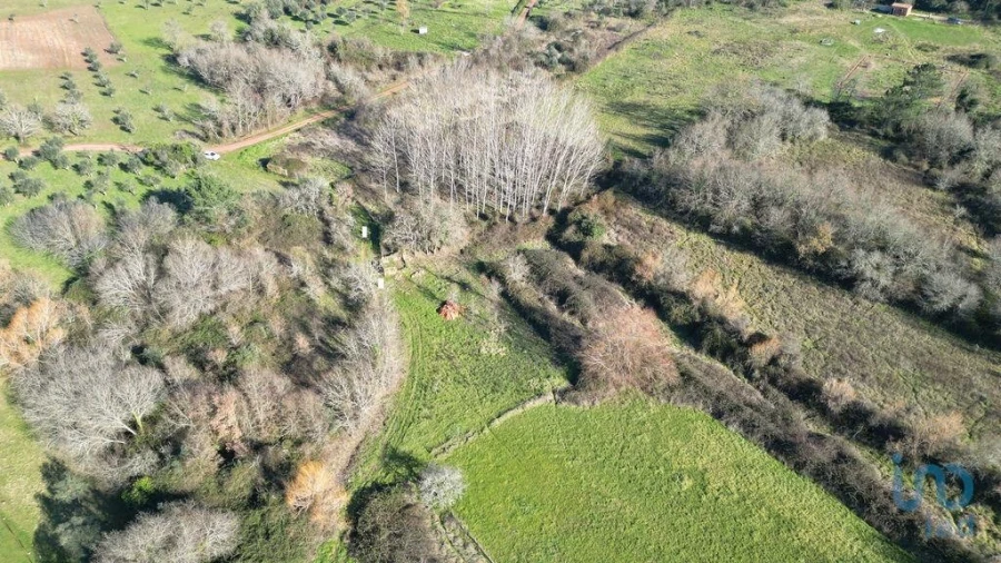 Terreno para Venda em Espinhal Foto 9