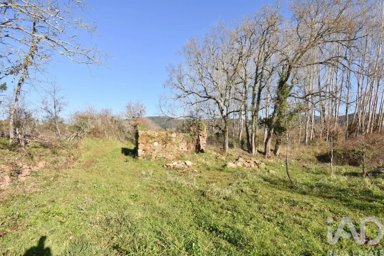 Terreno para Venda em Espinhal Foto 16