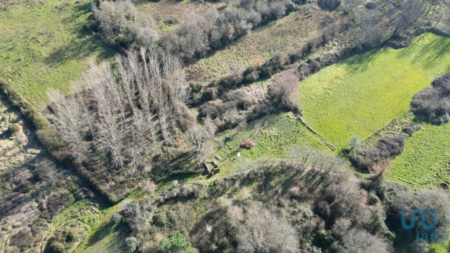 Terreno para Venda em Espinhal Foto 12
